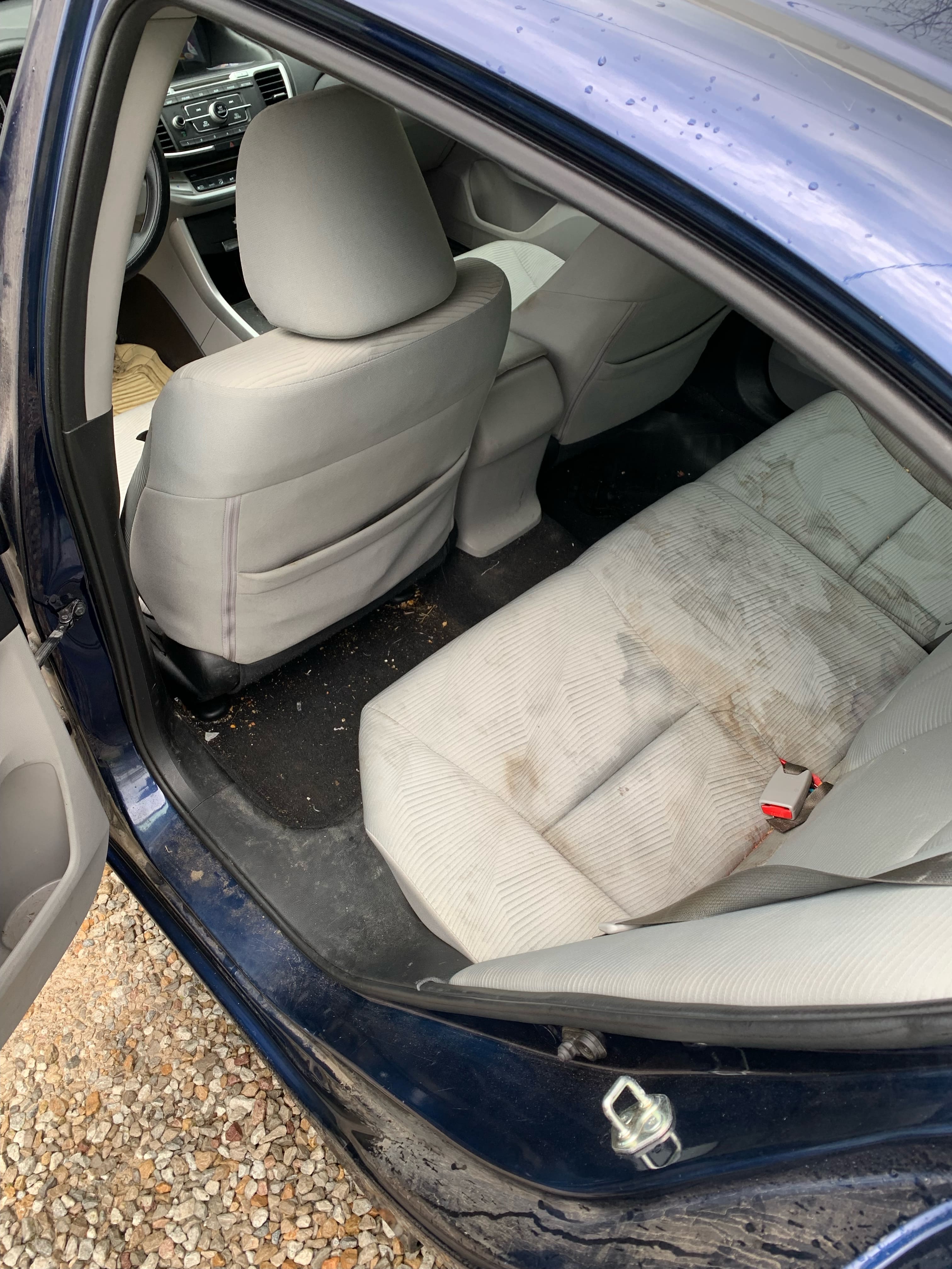 Interior Vacuum + Cloth Seat and Floor Extraction